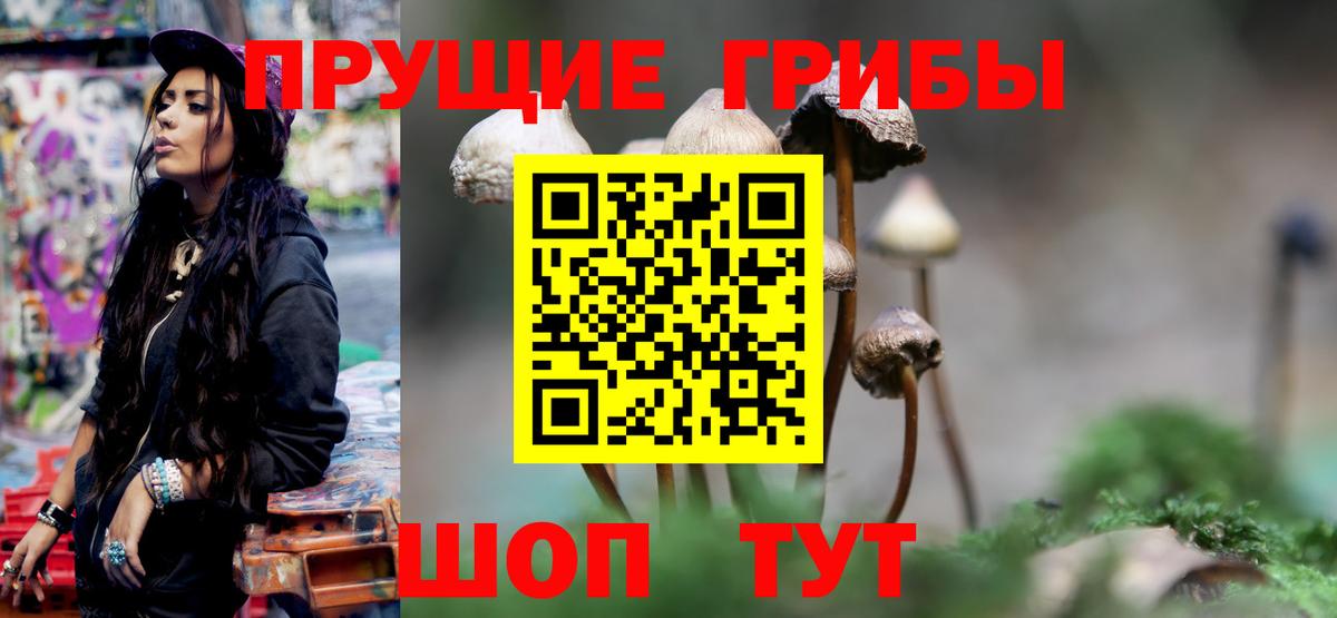 Галлюциногенные грибы мицелий  Вход с VPN  Чехов 