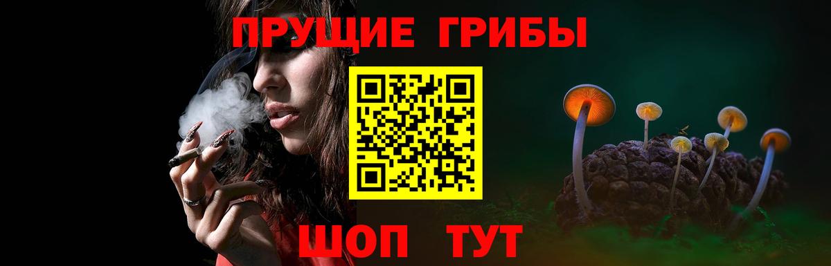 Псилоцибиновые грибы Cubensis Чехов
